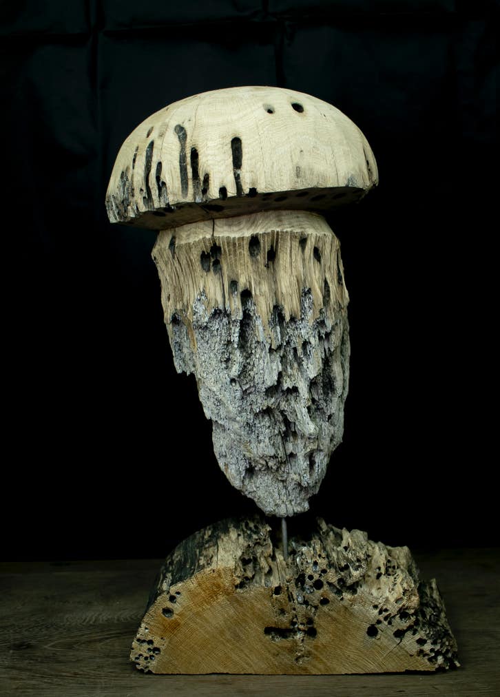 Scultura in legno riciclato raffigurante una medusa.